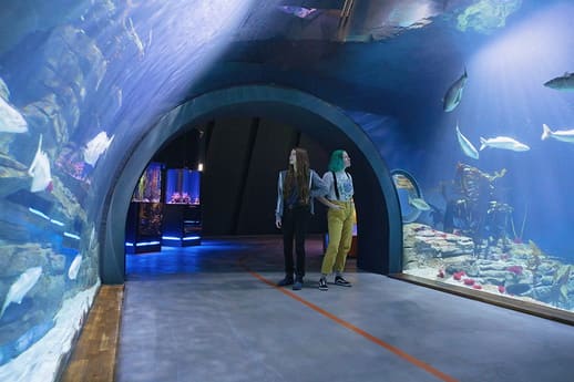 OZEANEUM Helgolandtunnel